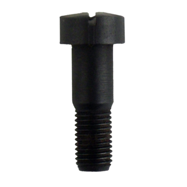 Close-up of a black hex bolt with a slotted head and threaded shaft, resembling the FRONT ACTION SCREW CZ 550 STANDARD, standing upright against a plain white background.